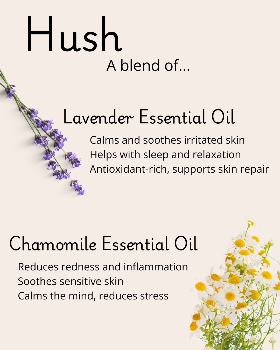 Primitive Brood's Hush, a blend of Lavender and Chamomile oils which calms and soothes irritated skin, helps with sleep and relaxation, antioxidant-rich, supports skin repair, reduces redness and inflammation, soothes sensitive skin, calms the mind, and reduces stress.