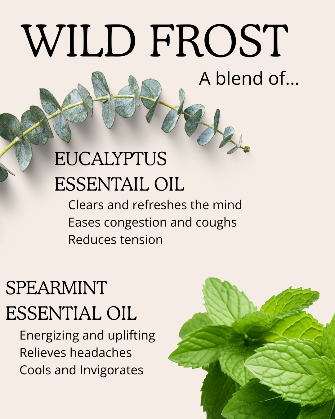 Primitive Brood's Wild Frost, made with Eucalyptus Oil which clears and refreshes the mind, eases congestion and coughs, and reduces tension; and Spearmint Oil energizing and uplifting, relieves headaches, and cools and invigorates.